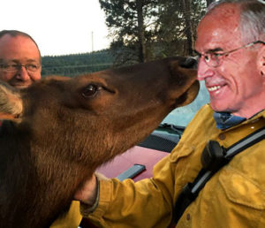Elk (left) and Bob Beauprez
