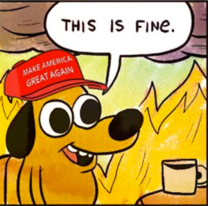 Image result for this is fine maga