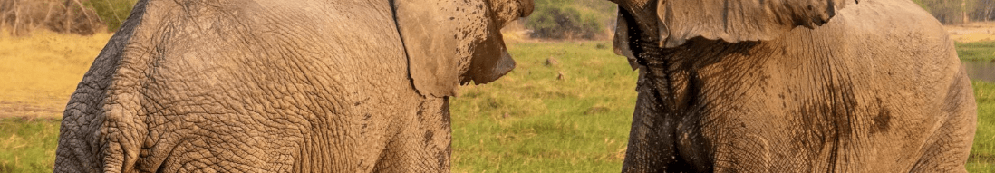 Colorado Republicans Still Focused on Fighting…Colorado Republicans