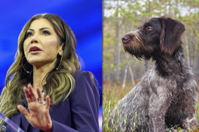 Puppy-Killing Gov. Kristi Noem Cancels Jeffco GOP Fundraiser