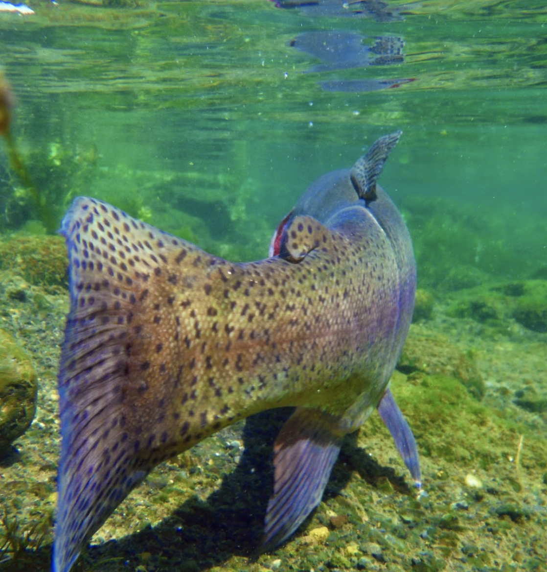 Longtime Colorado Journalist Sandra Fish Retires