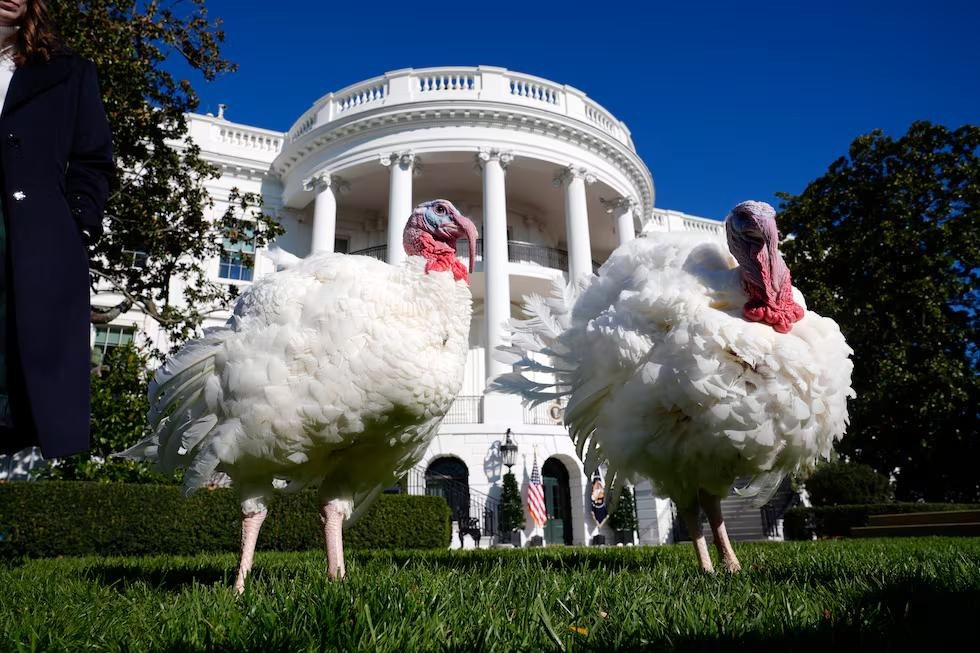 Thanksgiving Weekend Open Thread