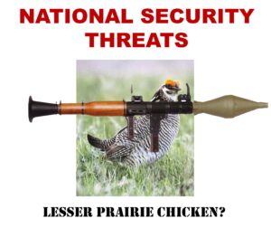 Clucking Time's Over For The Lesser Prairie-Chicken, For Now