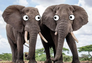 More Bad Election News for Gabe Evans and Jeff Crank