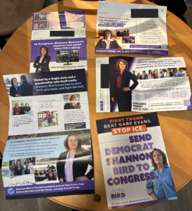 Democratic CD-8 Primary A Mail vs. Digital Case Study