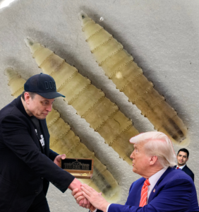 Trump And DOGE Have Screwwormed America